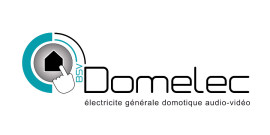 BSV Domelec