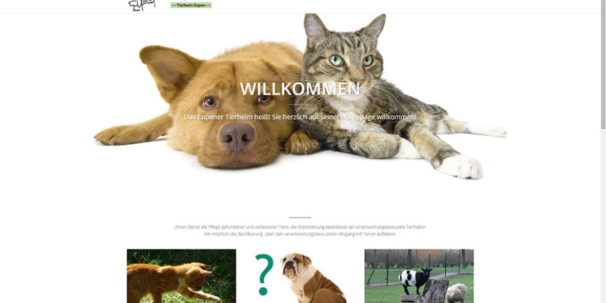 Eupener Tierheim – Tierschutzgesellschaft